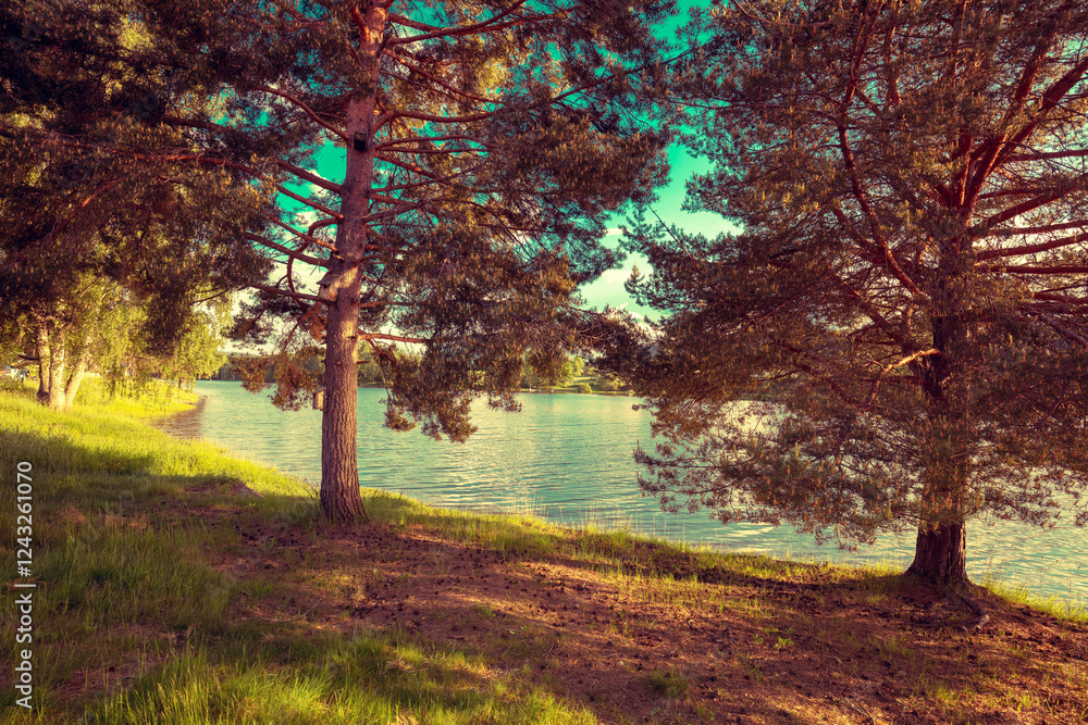 Lakeshore on a sunny day in autumn. View of Mjosa lake near Tangen. Beautiful nature of Norway, Europe