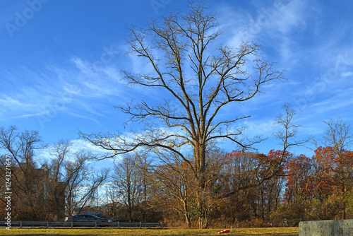 Beautiful landscape against blue sky in late autumn. Stony Brook, NY, in Suffolk County, on Long Island photo