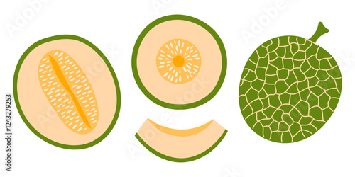Cantaloupe melon set. Ripe fruit pieces, halved slices, whole melon, seed. Collection of organic vitamins and healthy nutrition. Flat Vector illustration isolated on white background