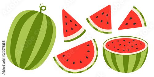 Watermelon set. Ripe fruit pieces, halved and triangular slices, whole watermelon, seed. Collection of organic vitamins and healthy nutrition. Flat Vector illustration isolated on white background