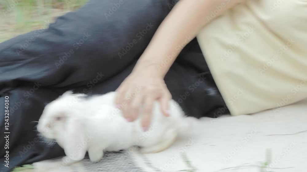 Woman playing with white fluffy domestic rabbit walking on picnic. Woman playing with white fluffy domestic rabbit walking on picnic.