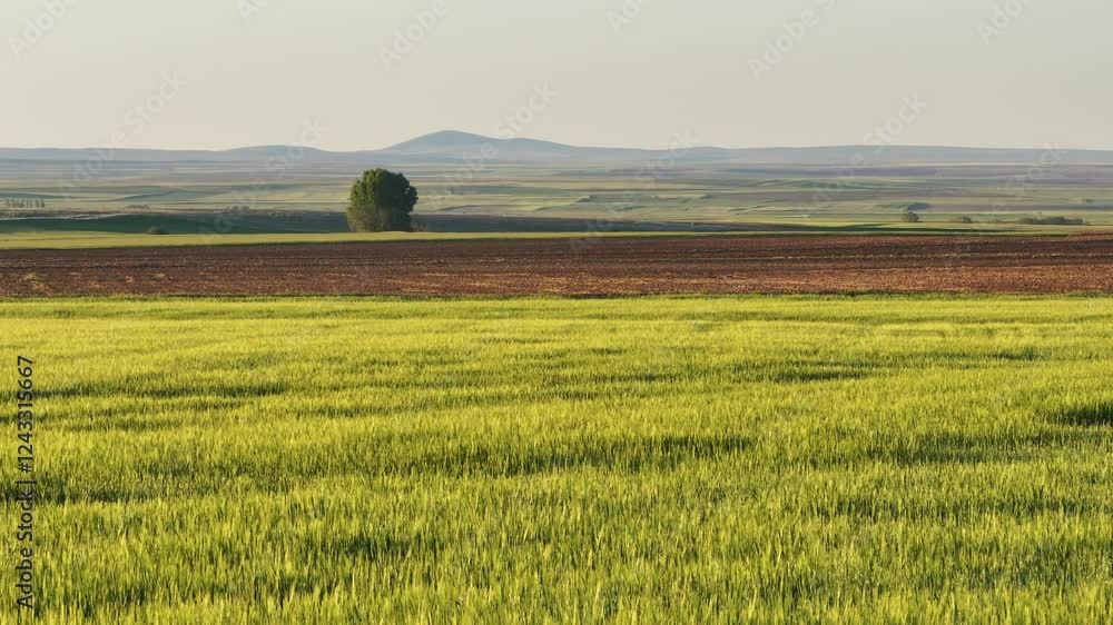countryside landscape FARM LAND agriculture countryside landscape FARM LAND agriculture