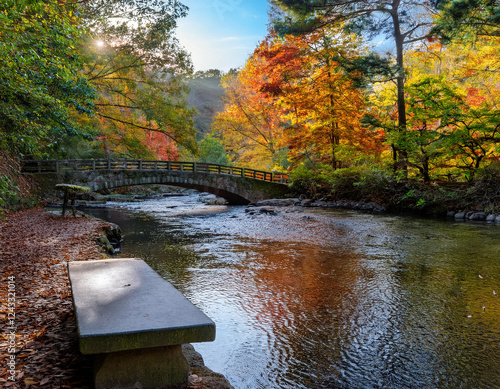 A concrete bench overlooks a peaceful river surrounded by trees displaying vibrant autumn foliage in orange and green hues. photo