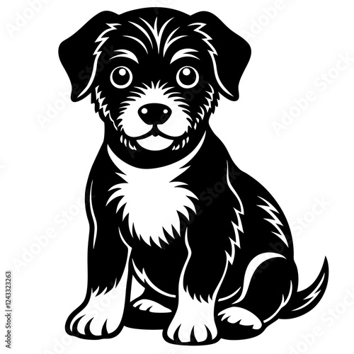 black and white puppy