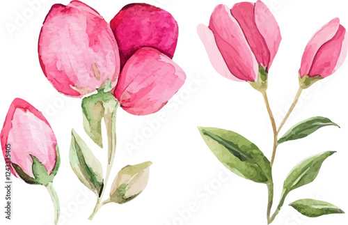 bouquet of pink tulips