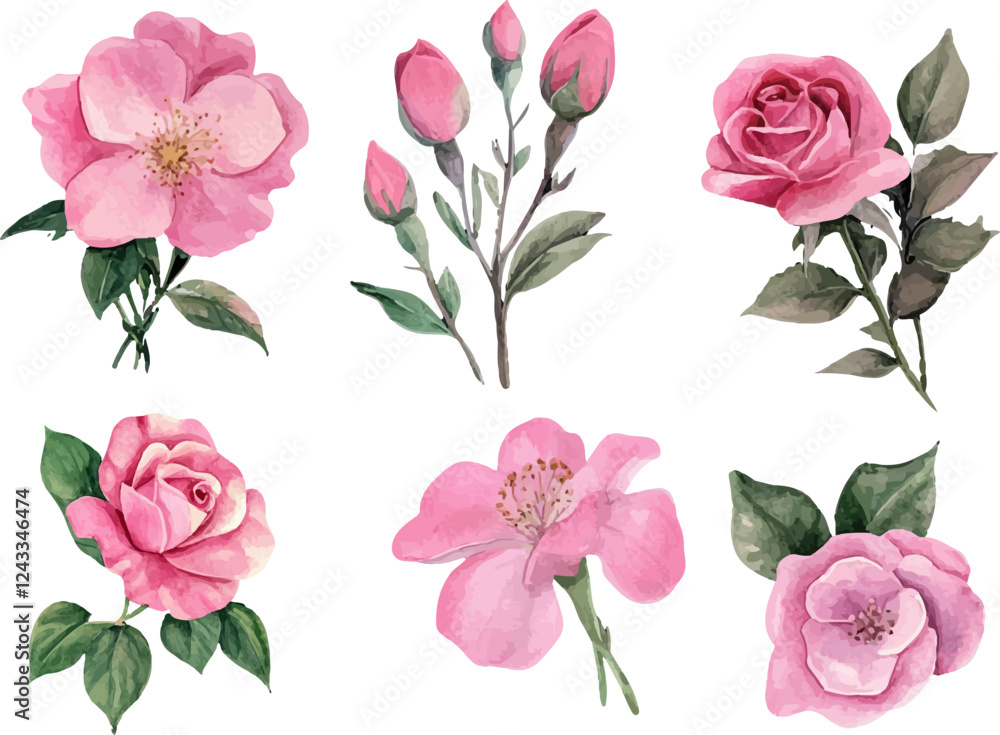 set of pink roses vector set of pink roses vector