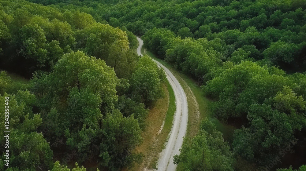 Aerial view of a winding road through a lush forest, featuring a train traveling along the tracks, showcasing natural beauty and transportation. Aerial view of a winding road through a lush forest, featuring a train traveling along the tracks, showcasing natural beauty and transportation.