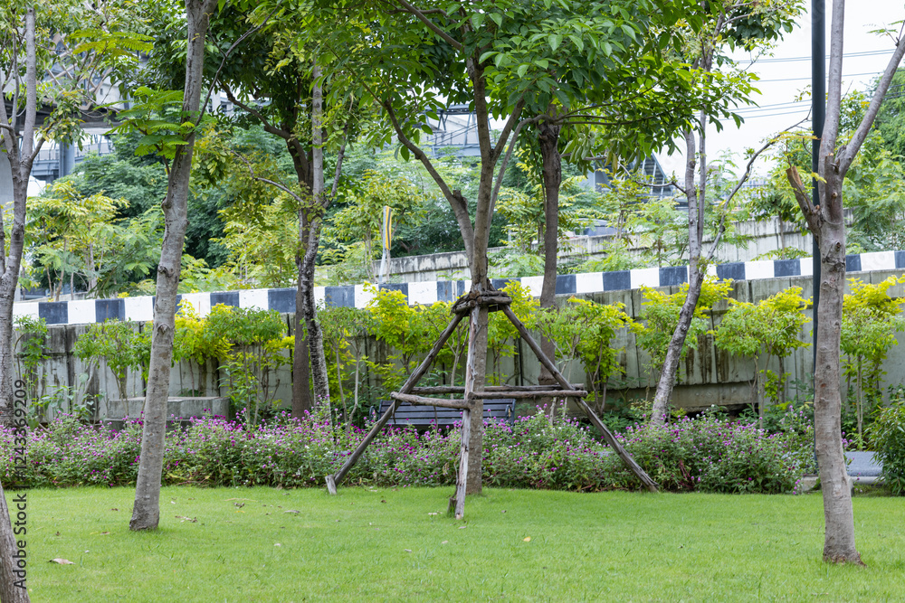Lush Urban Park with Trees and Benches Lush Urban Park with Trees and Benches