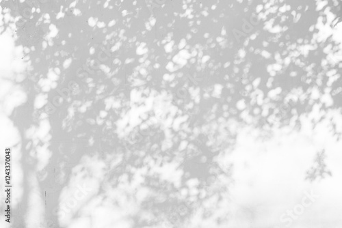 trees branch and leaf with shadow on a white concrete wall. Leaf pattern. Blurred background.