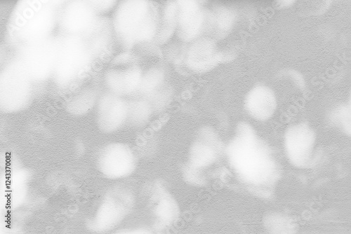 Trees branch and leaf with shadow on a white concrete wall.