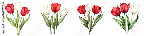 Wallpaper Mural Victoria element, Beautiful red and white tulips in various arrangements, perfect for decoration, isolated on transparent background. Torontodigital.ca