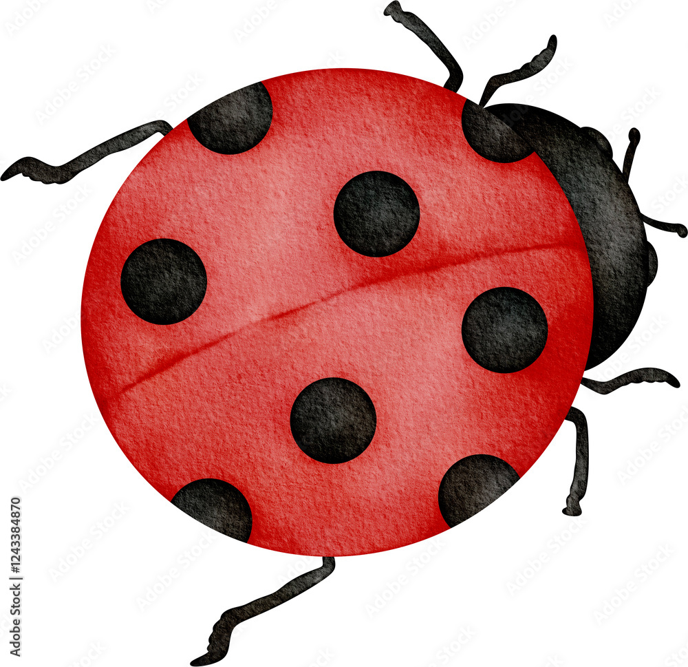 Obraz premium watercolor ladybug