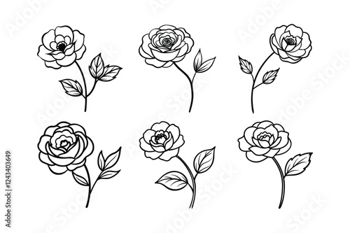 Buttercup (Ranunculus spp.) line art vector illustration