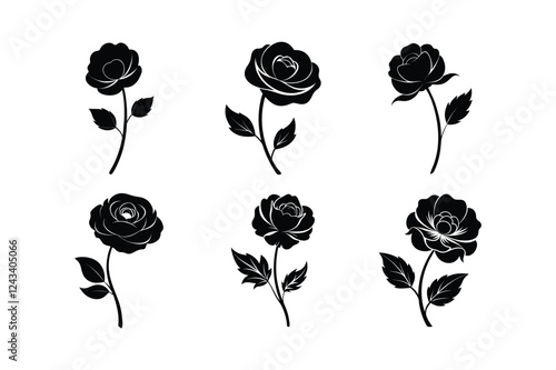 Buttercup (Ranunculus spp.) silhouette vector illustration