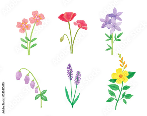 Wallpaper Mural Watercolor flower hand drawing illustration Torontodigital.ca
