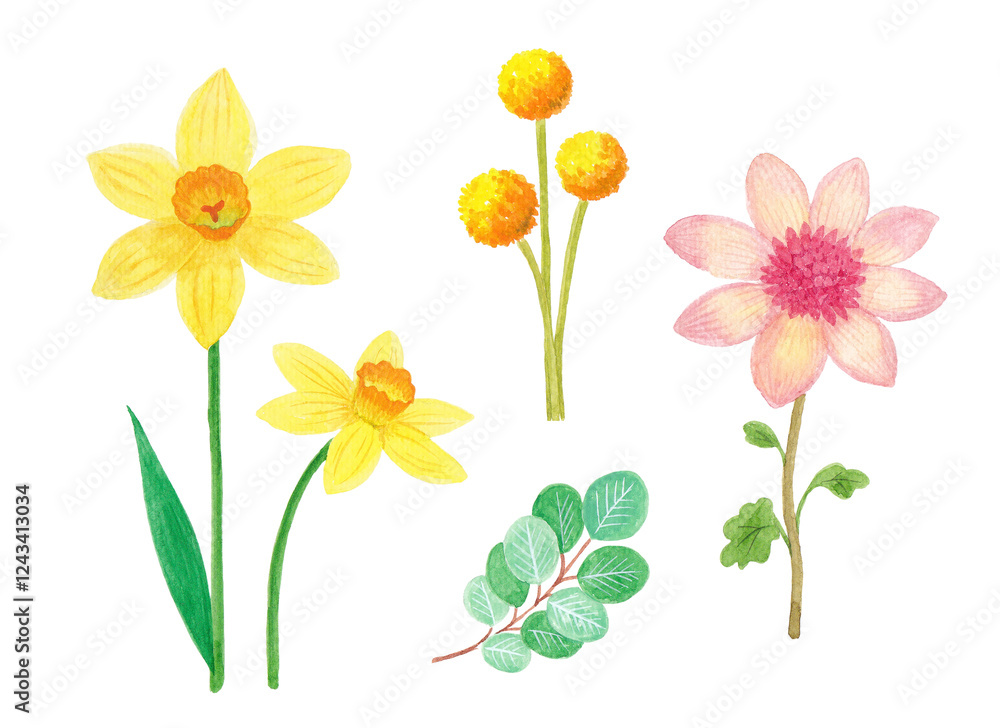 Obraz premium Watercolor flower hand drawing illustration