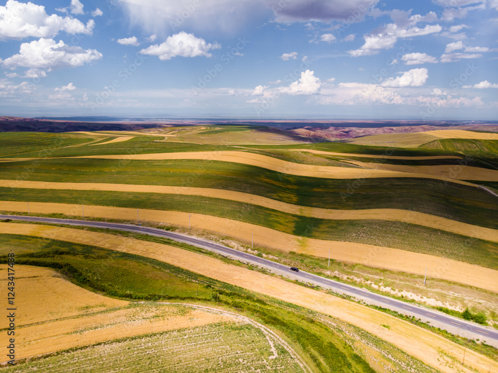Fototapeta premium Wheat fields in the golden autumn in Tacheng, Xinjiang, China