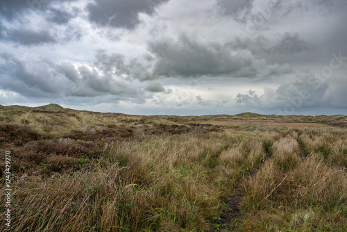 Moody Landscape with Grassy Field and Cloudy Sky, Den Hoorn, Texel, Netherlands