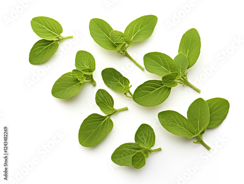 Fresh Green Mint Leaves Scattered on White Background