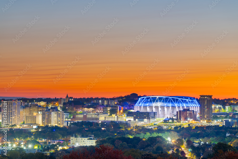 Fototapeta premium Syracuse, New York, USA Skyline at Dawn