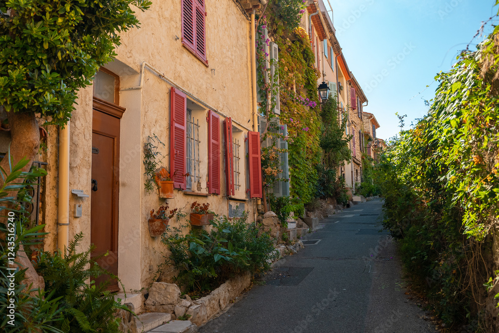 Fototapeta premium Street In The Old Town Of Antibes, France.