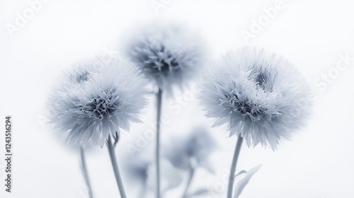 Wallpaper Mural Surreal Blue Flowers in Minimalist Composition, Evoking Tranquility and Natural Elegance Torontodigital.ca