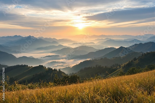Scenic view of misty mountain ranges during sunrise with golden grass in foreground.