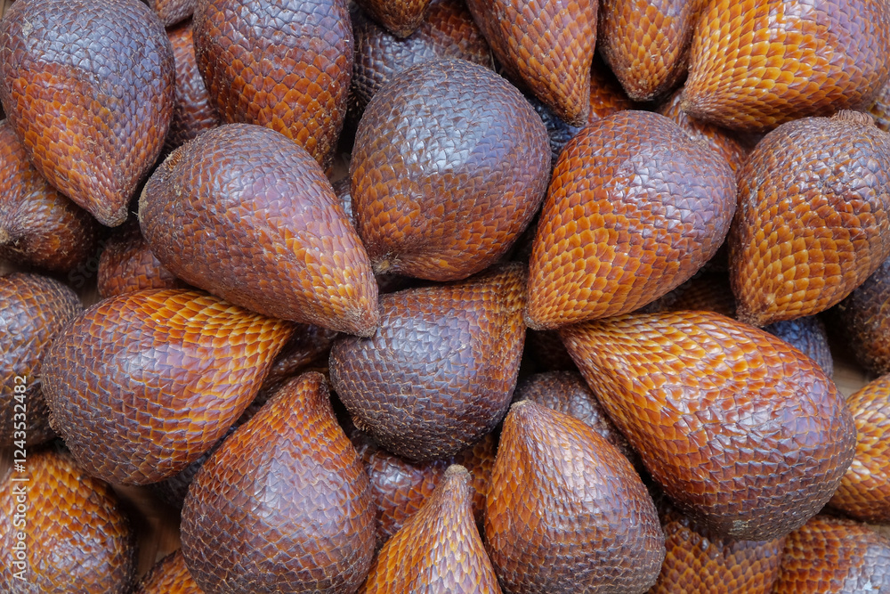 The background is an abstract pattern and texture of a pile of snake fruit. The skin of the snake fruit is like brown scales. Natural patterns and textures. For graphic design, 3D rendering or banner The background is an abstract pattern and texture of a pile of snake fruit. The skin of the snake fruit is like brown scales. Natural patterns and textures. For graphic design, 3D rendering or banner