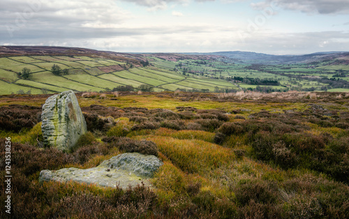 Obraz na plátne North York Moors with heather and fields under bright sky, Glaisdale, UK