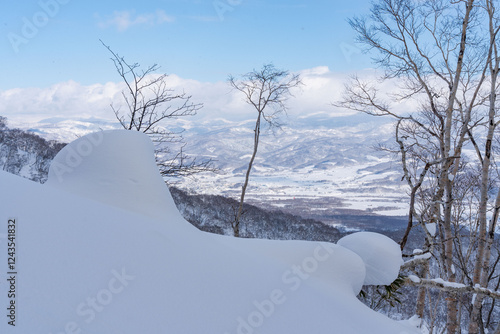 冬の羊蹄山山麓からの眺め photo