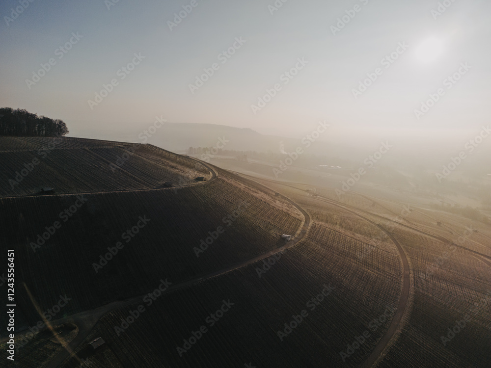 Fototapeta premium Frostige Weinberglandschaft in 74235 Erlenbach: Winterlicher Reiz in den Weinbergen
