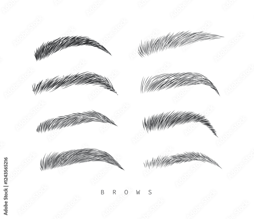 Eyebrows collection set in different shape form drawing with black on white background
