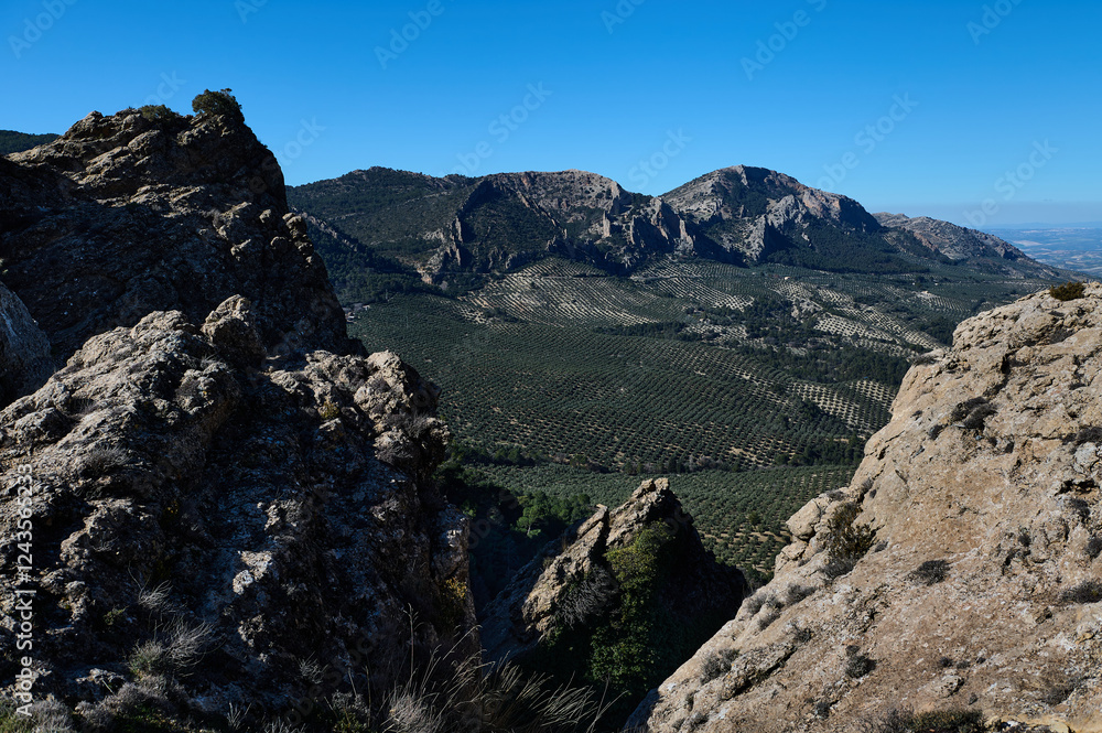 Scenic view of rocky mountain cliffs and olive grove in lush green valley Scenic view of rocky mountain cliffs and olive grove in lush green valley