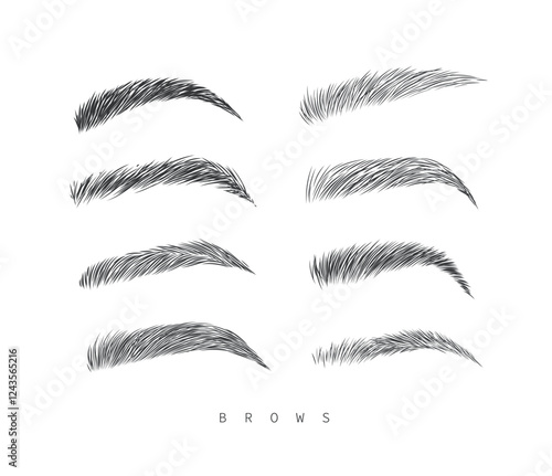 Obraz na płótnie Eyebrows collection set in different shape form drawing with black on white background w salonie