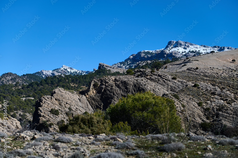Snow-capped peaks amidst rugged landscapes and lush trees under a vibrant blue sky Snow-capped peaks amidst rugged landscapes and lush trees under a vibrant blue sky