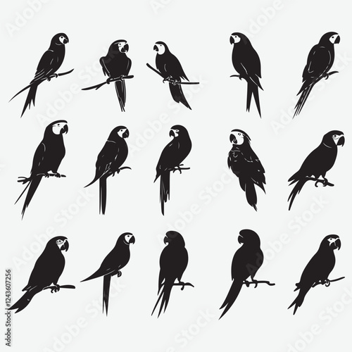 Collection of Parrot birds silhouette illustration