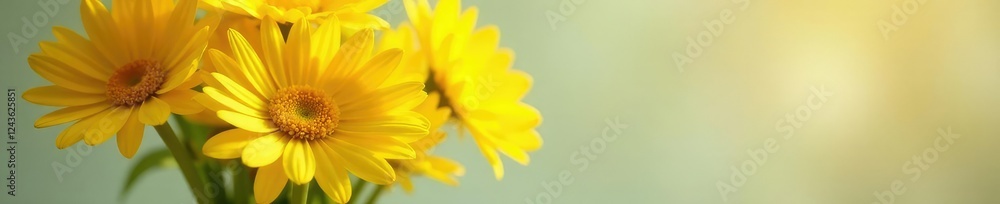 Yellow flower bouquet in a vase with soft focus effect, yellow, colorful, arrangement Yellow flower bouquet in a vase with soft focus effect, yellow, colorful, arrangement