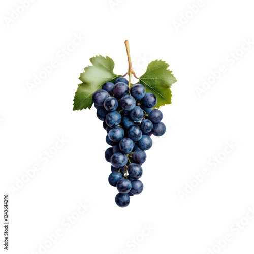 branch of fresh blue grapes isolated on transparent background  photo