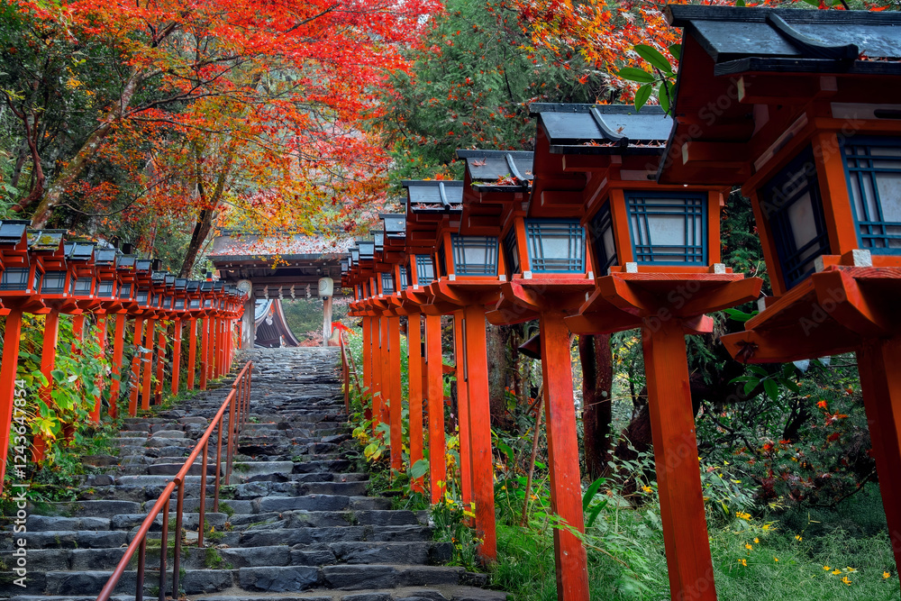 Kifune Shrine in Kyoto, Japan with beautiful autumn scenery
Kifune Shrine in Kyoto, Japan with beautiful autumn scenery