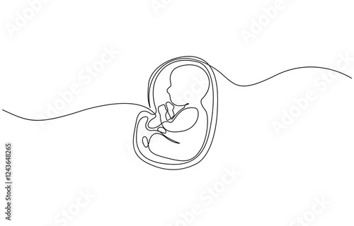 Baby embryo in womb, fetus one art line continuous drawing, Continuous line of fetus in womb.one line drawing of baby fetus in mother's stomach in gestational age.