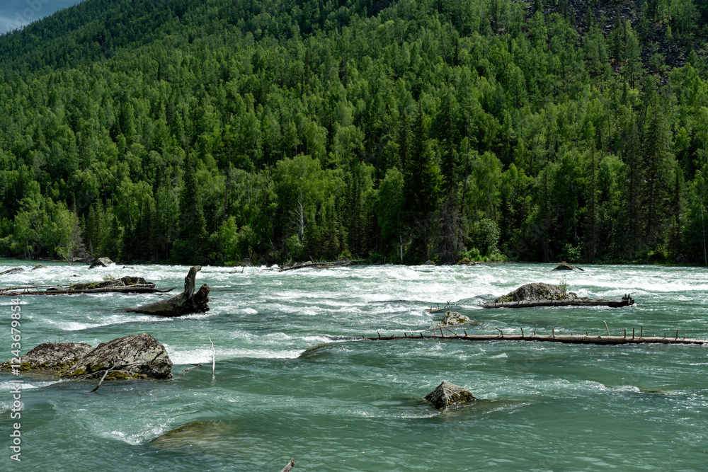 Scenery of Kanas Scenic Area in Xinjiang Uygur Autonomous Region, China Scenery of Kanas Scenic Area in Xinjiang Uygur Autonomous Region, China