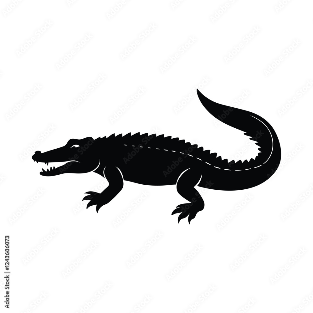 crocodile on white background crocodile on white background
