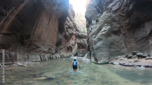 Experience the Narrows in Zion Park with towering canyon walls, gentle river currents, and an unbeatable sense of adventure.