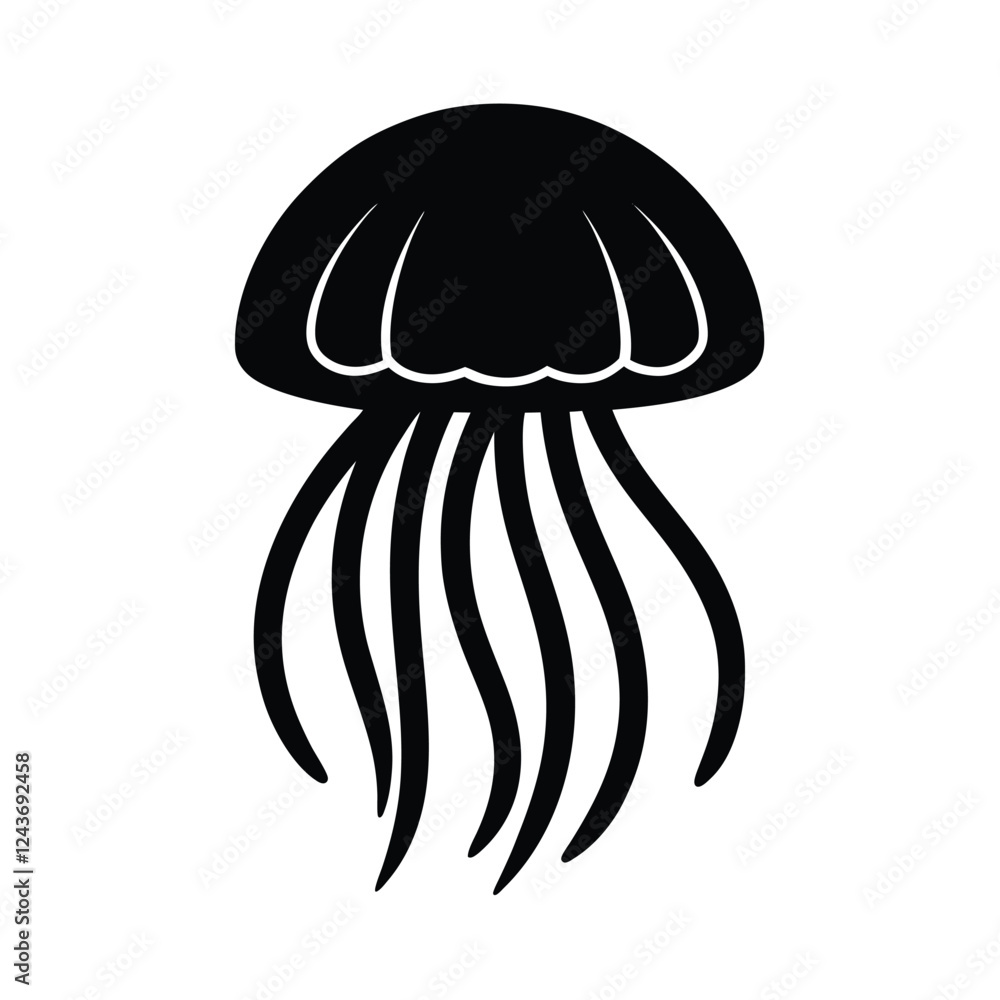 jellyfish on black background jellyfish on black background