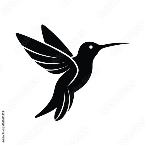 hummingbird vector illustration