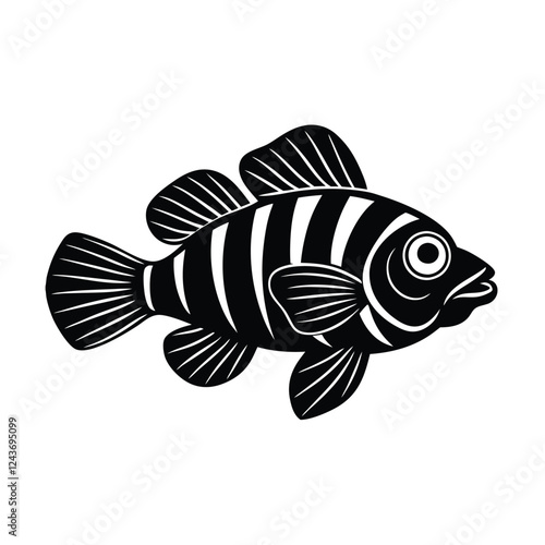 vector illustration of a fish