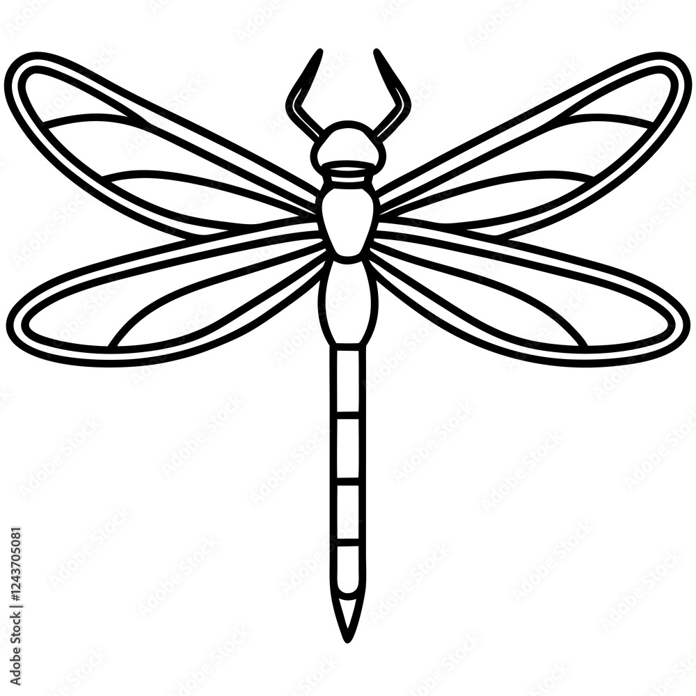 Stylized Dragonfly Drawing with Detailed Wings and Body Stylized Dragonfly Drawing with Detailed Wings and Body