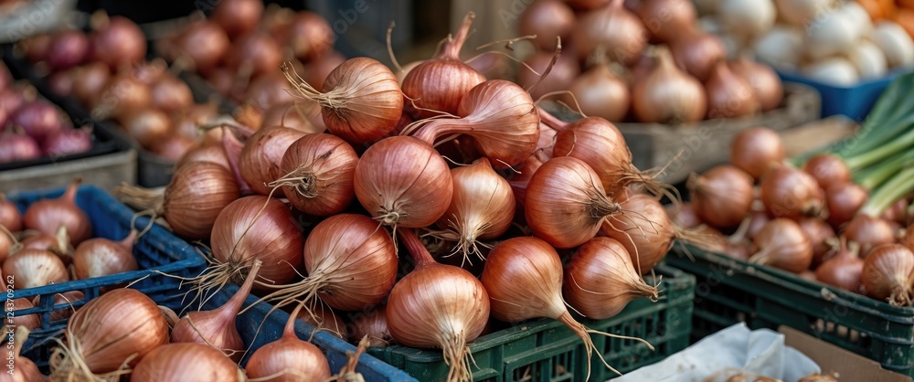 Fresh reddish copper shallots piled at a local market showcasing organic produce and vibrant colors for culinary and cooking themes. Fresh reddish copper shallots piled at a local market showcasing organic produce and vibrant colors for culinary and cooking themes.