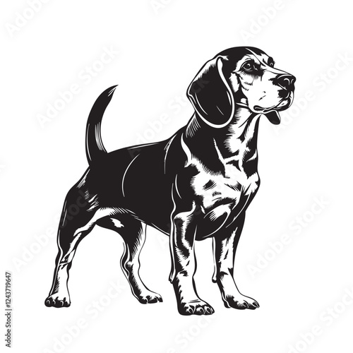 Elegant beagle vector illustration. Full body, standing pose, detailed features. Perfect for pet-related designs, logos, and print.
