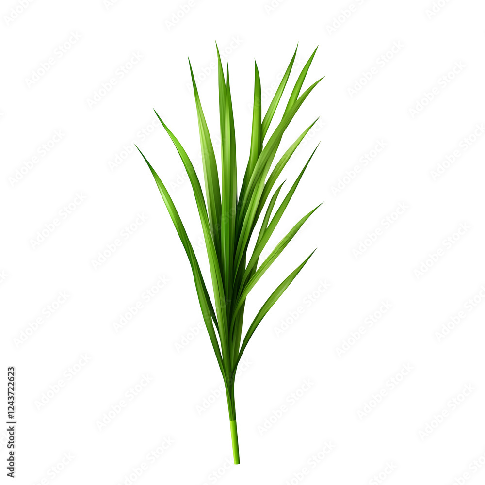 Obraz premium Verdant Wheatgrass Stem on Plain White Isolated Background